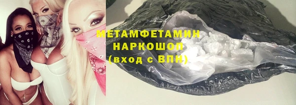 шишки Белокуриха