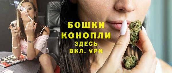 шишки Белокуриха