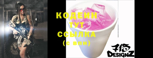 шишки Белокуриха