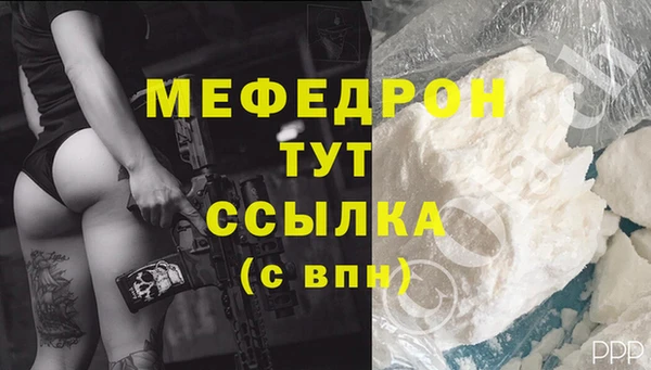 шишки Белокуриха