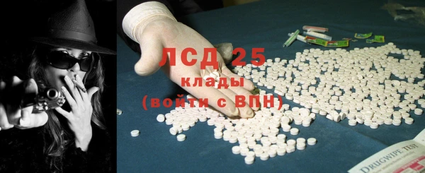 шишки Белокуриха