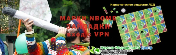 шишки Белокуриха