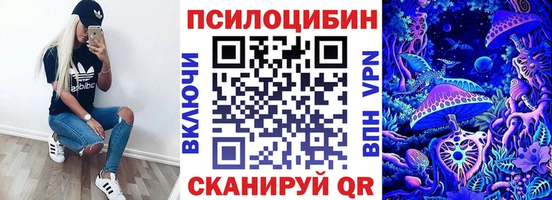 ОМГ ОМГ ссылки  площадка Telegram  Галлюциногенные грибы Psilocybe  закладка  Верхотурье 